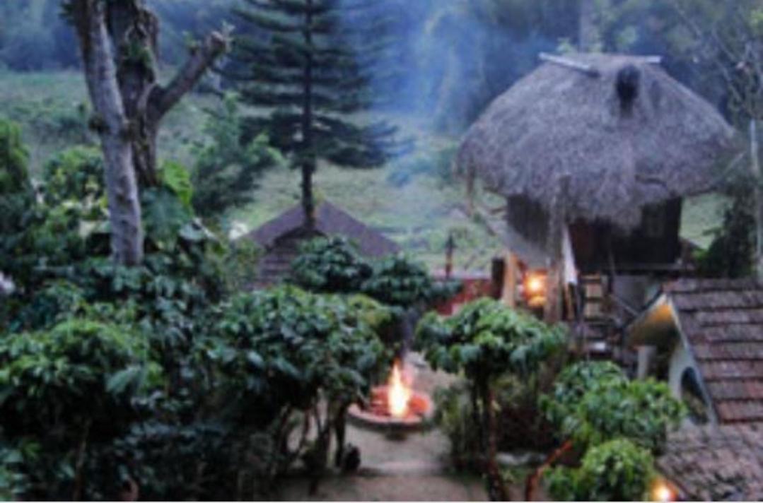 Coffee Inn Thekkady Εξωτερικό φωτογραφία